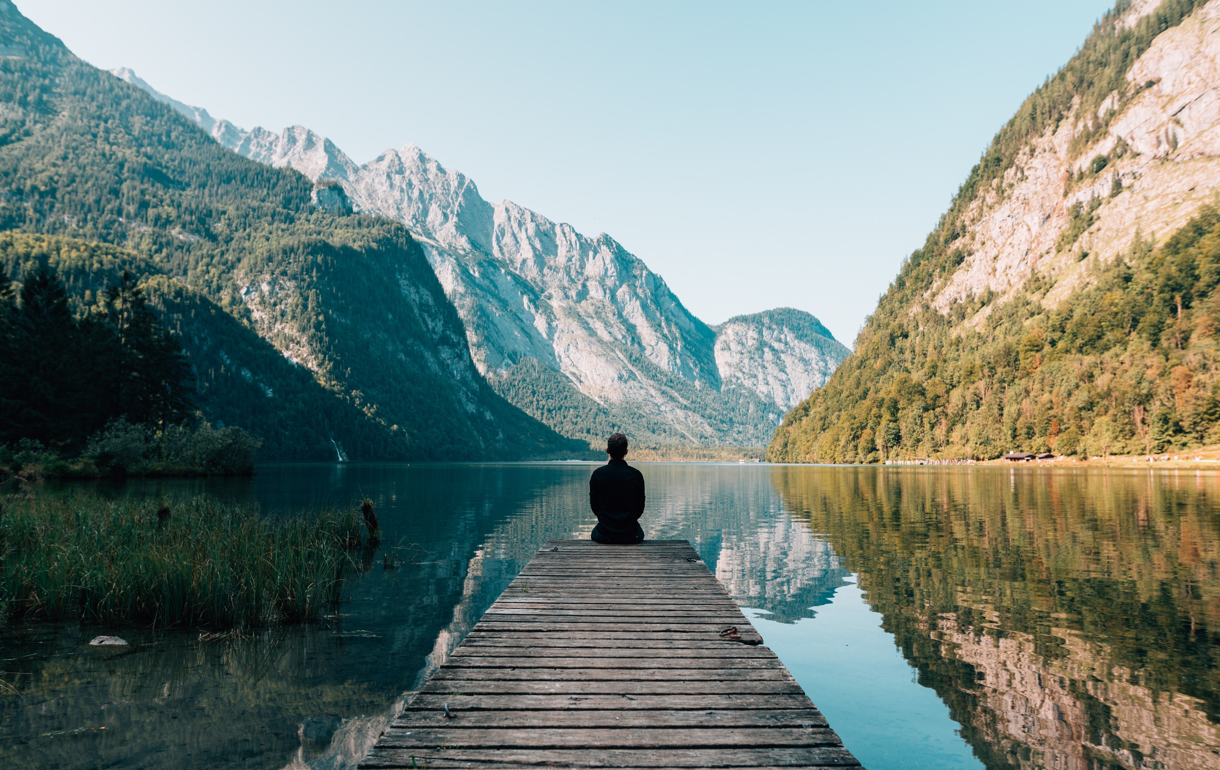 Detox Your Mind. Stop Anxiety Naturally.