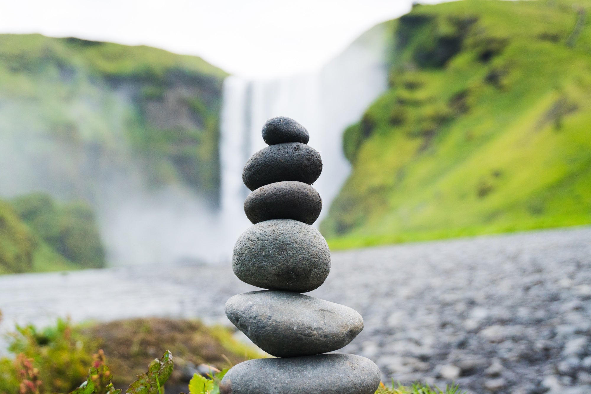 Basic Gut Protocol Levels 1 & 2